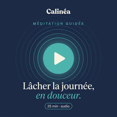 Guided Meditation Playlist