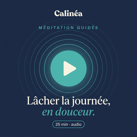 Guided Meditation Playlist